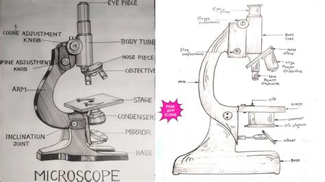 pencil microscope drawing easy|20+ Easy Microscope Drawing Ideas with Label.